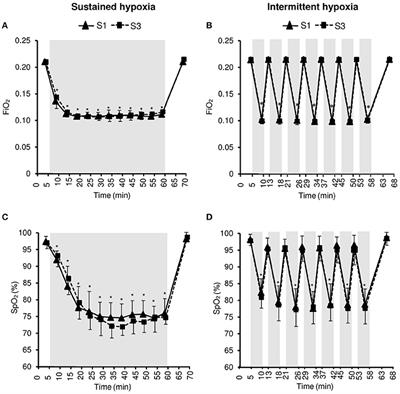 Physiological Responses to Two Hypoxic Conditioning Strategies in Healthy Subjects